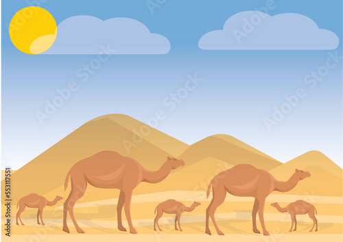 camels in the desert landscape. camels in the desert . camel in desert