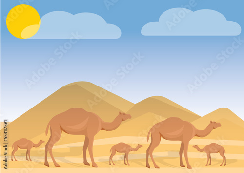 camels in the desert illustration . camels in the desert . camel in desert