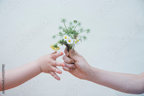 The hands boy gave a little flower girl. The Boy Gives Flowers a Girl. Love Concept.