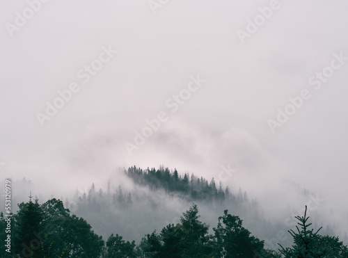 Print op canvas Mystic mountain forest