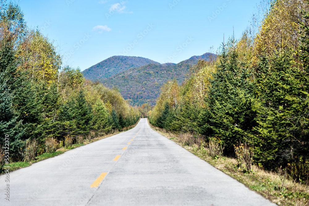 Fototapeta premium Scenic road through autumn trees