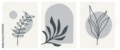 collection of modern simple minimalistic abstract illustrations in monochrome shades: silhouettes of plants and geometric shapes and the moon on the background