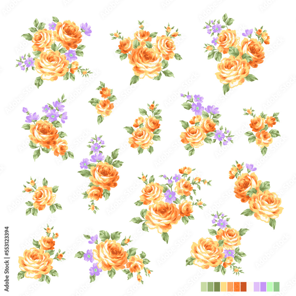 Fototapeta premium Beautiful rose illustration material collection,