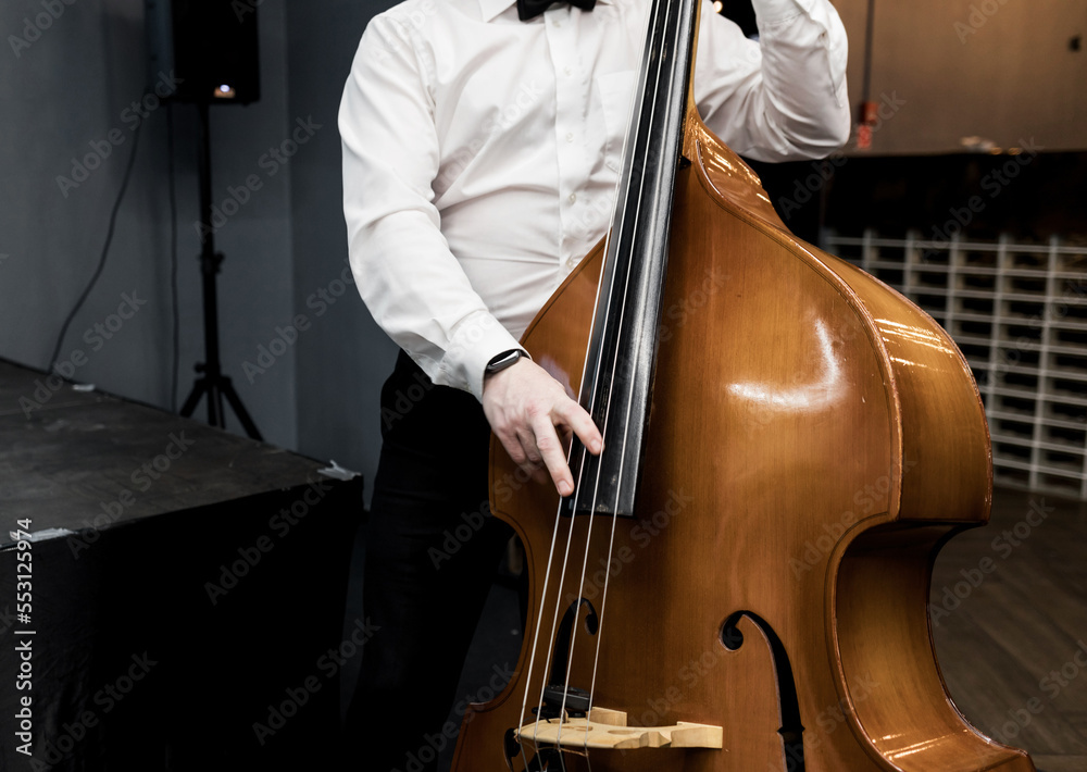 musician in a white shirt plays the double bass musician in a white shirt plays the double bass