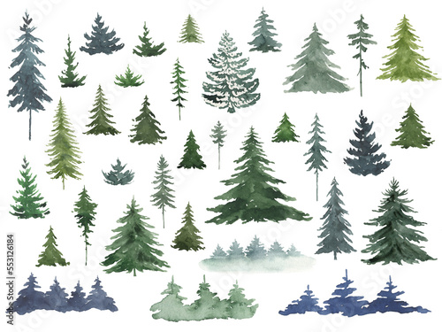 Watercolor collection of evergreen natural firs. Elements of a Christmas tree on a transparent background.