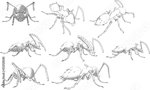Wallpaper Mural collection of insects Torontodigital.ca