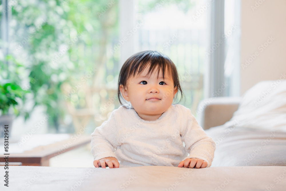 家でつかまり立ちをする赤ちゃん 家でつかまり立ちをする赤ちゃん
