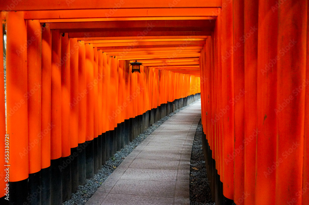 Fototapeta premium Japan