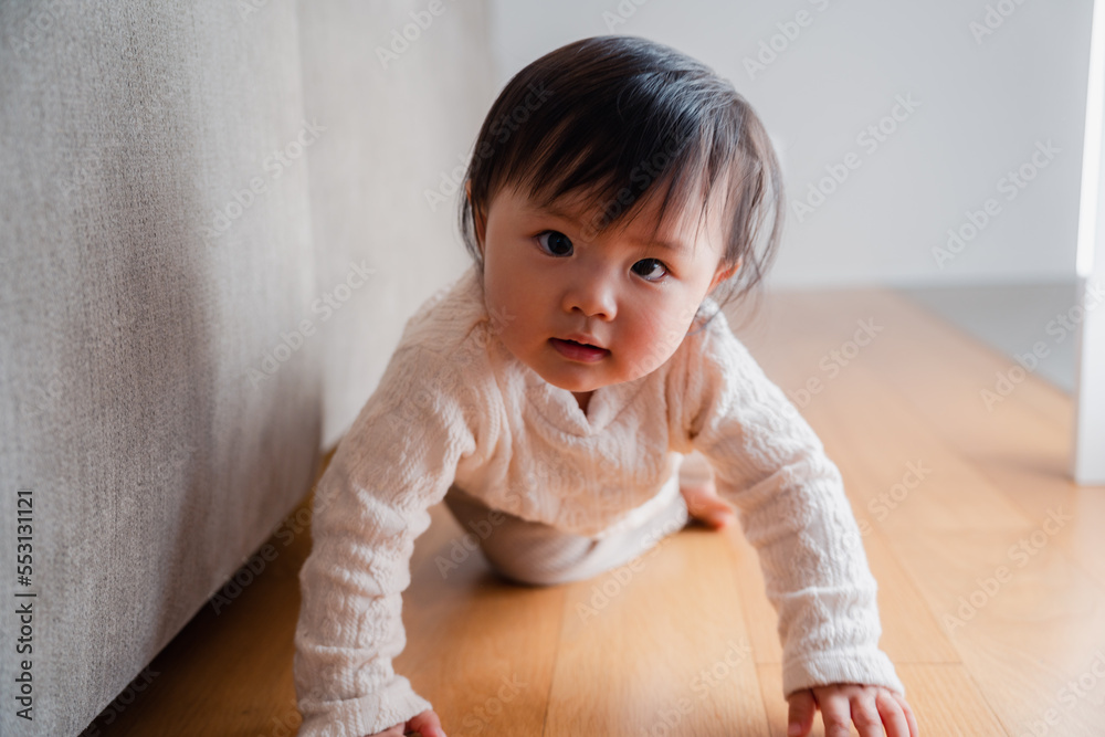 一人でハイハイをする赤ちゃん 一人でハイハイをする赤ちゃん