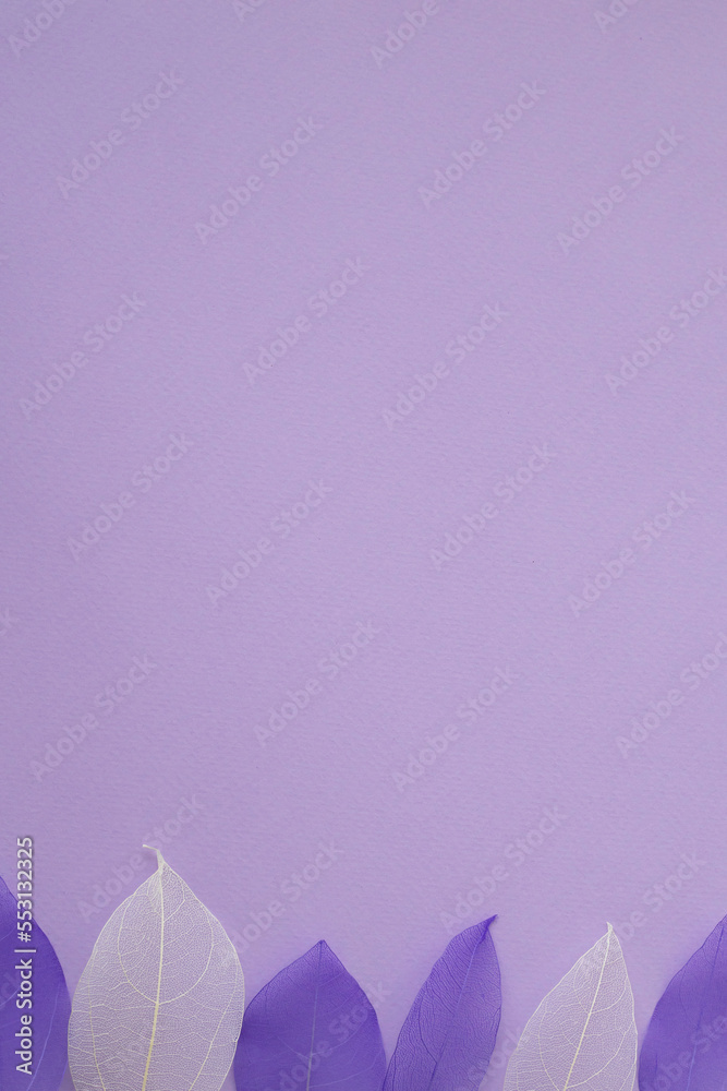 Purple vertical background with copy space with skeletons of dried leaves in background color with lavender hue. Space for your design or text Purple vertical background with copy space with skeletons of dried leaves in background color with lavender hue. Space for your design or text