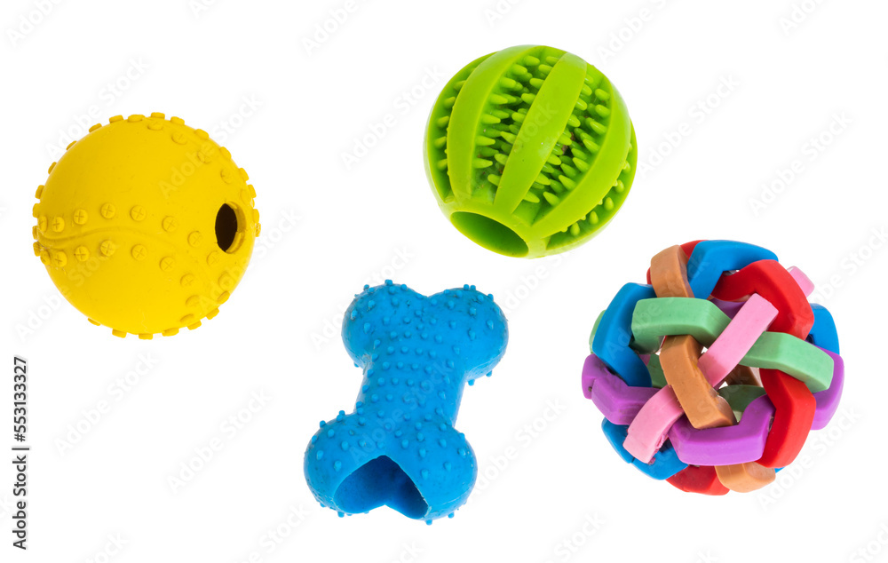 dog toys isolated