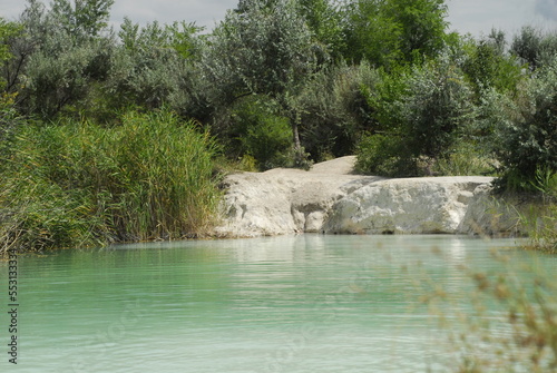 agoon with clear water among the trees