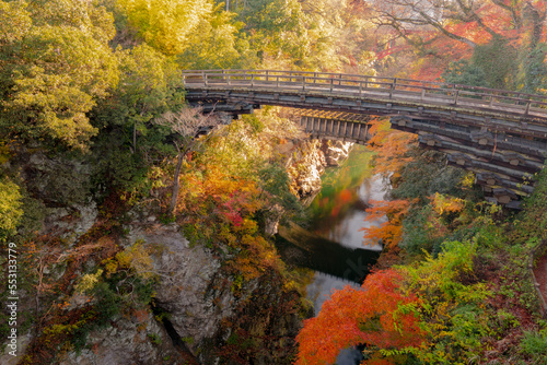 大月市猿橋の秋風景２０２２