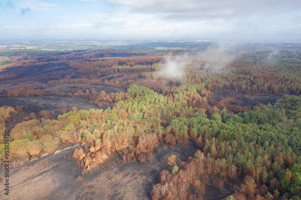 Foret de Brocéliande après les incendies du mois d'aout  2022 - prise de vue Septembre 2022