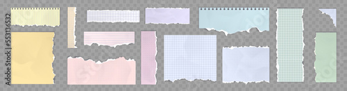 Torn paper sheets, colorful notebook pages with ragged edges. Blank and checkered memo notes or daily planner empty notepad pieces isolated on transparent background, Realistic 3d vector set