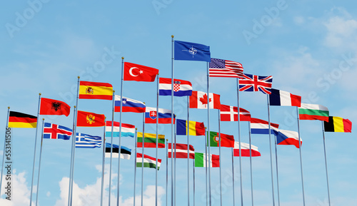 NATO , Flags of countrys of North Atlantic Treaty Organization and flag ,with blue sky ,3d rendering photo