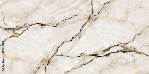 White crystal onyx marble texture background with forest curly vines. Cloudy luxurious lustrous marble stone for wallpaper, ceramic slab tile, flooring, parking and kitchen tile design.