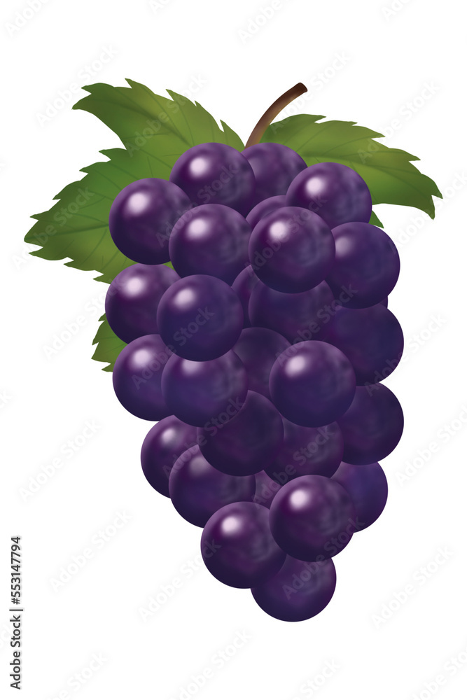 Fototapeta premium grape