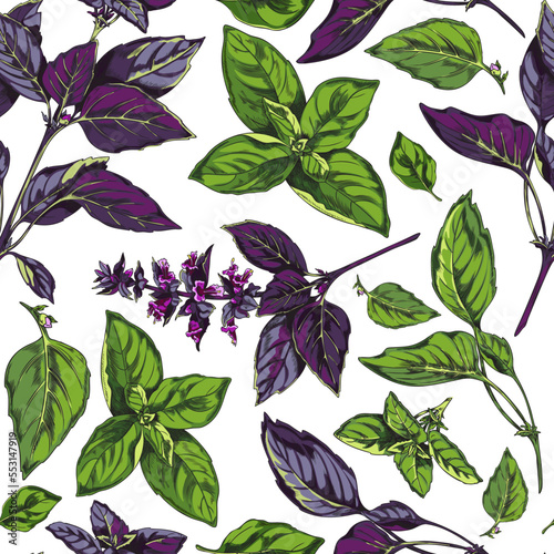 Basil seamless repeatable pattern sketch style vector illustration on white.