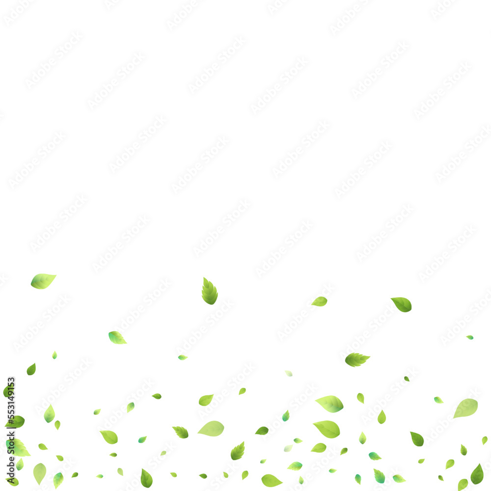 Leaves Green Falling Flying Foliage Leaf Tea Mint Leaves Green Falling Flying Foliage Leaf Tea Mint