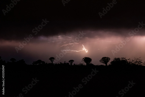 Thunderstorm over Quiver trees in Namibia