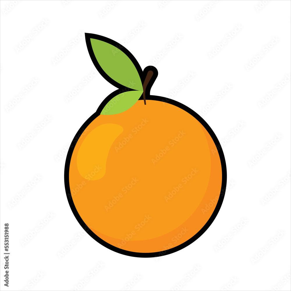 Orange Fruits Illustration Orange Fruits Illustration