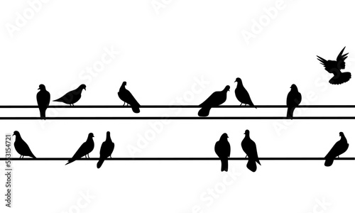 Vector silhouette of a group of doves sitting on a wire on a white background. Shadow of a black dove perched.