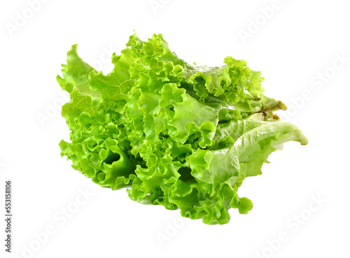 lettuce salad on transparent png