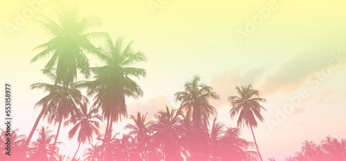Fototapeta Naklejka Na Ścianę i Meble -  The holiday of Summer with colorful theme as palm trees background as texture frame background