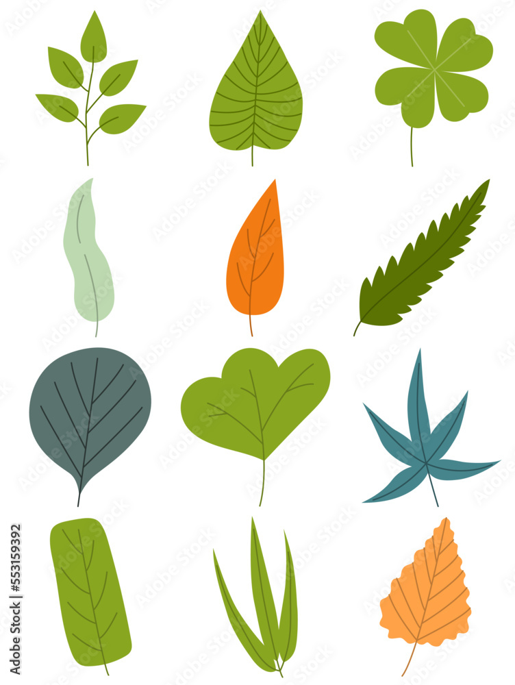 Obraz premium Leaves hand drawn icon vector set isolated on white background, Hand drawn decorative elements, Simple cartoon hand drawn style