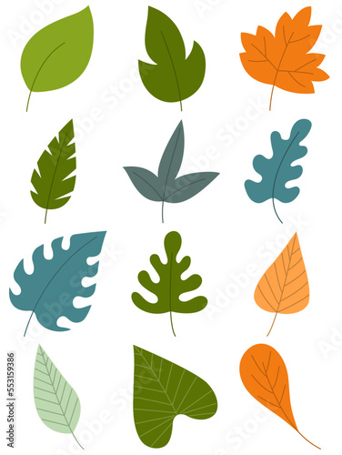 Leaves hand drawn icon vector set isolated on white background, Hand drawn decorative elements, Simple cartoon hand drawn style