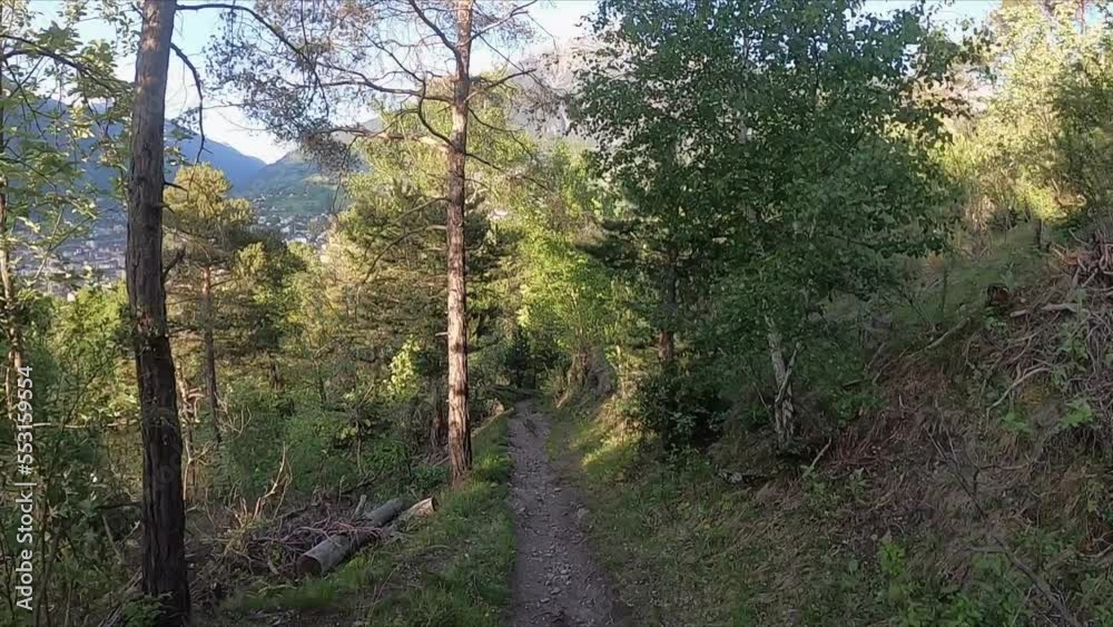 View of a single trail as a mountain biker. The narrow path leads down the mountain through the forest. POV View of a single trail as a mountain biker. The narrow path leads down the mountain through the forest. POV