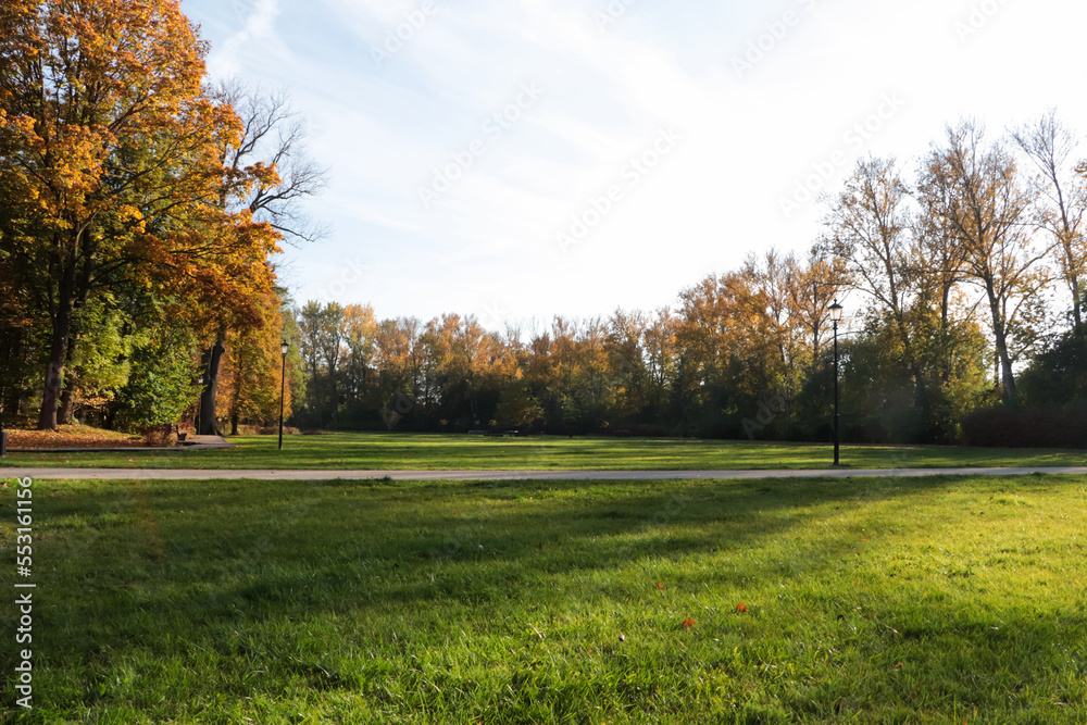 Picturesque view of park with beautiful trees and green grass on sunny day. Autumn season