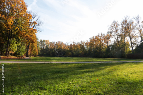 Picturesque view of park with beautiful trees and green grass on sunny day. Autumn season