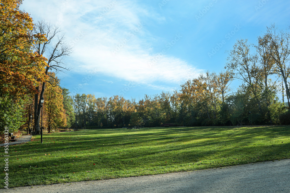 Picturesque view of park with beautiful trees and green grass on sunny day. Autumn season Picturesque view of park with beautiful trees and green grass on sunny day. Autumn season