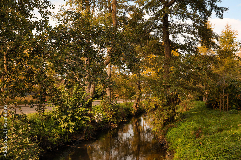 Picturesque view of river in beautiful park. Autumn season Picturesque view of river in beautiful park. Autumn season