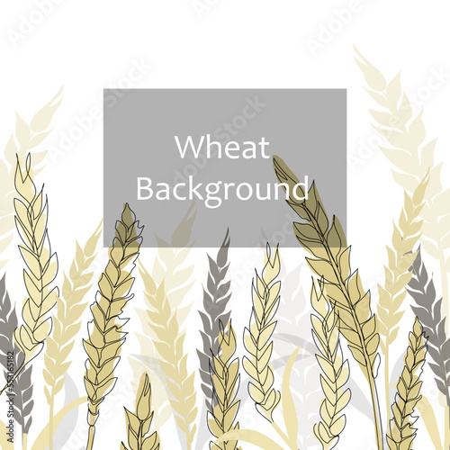 Vector wheat ear grains background design with frame for text or other purpose. Wheat cereals concept.