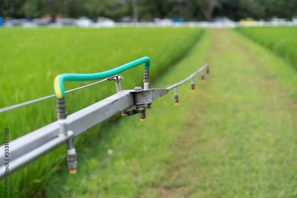 Farmers are getting ready agricultural sprayer in paddy fields.