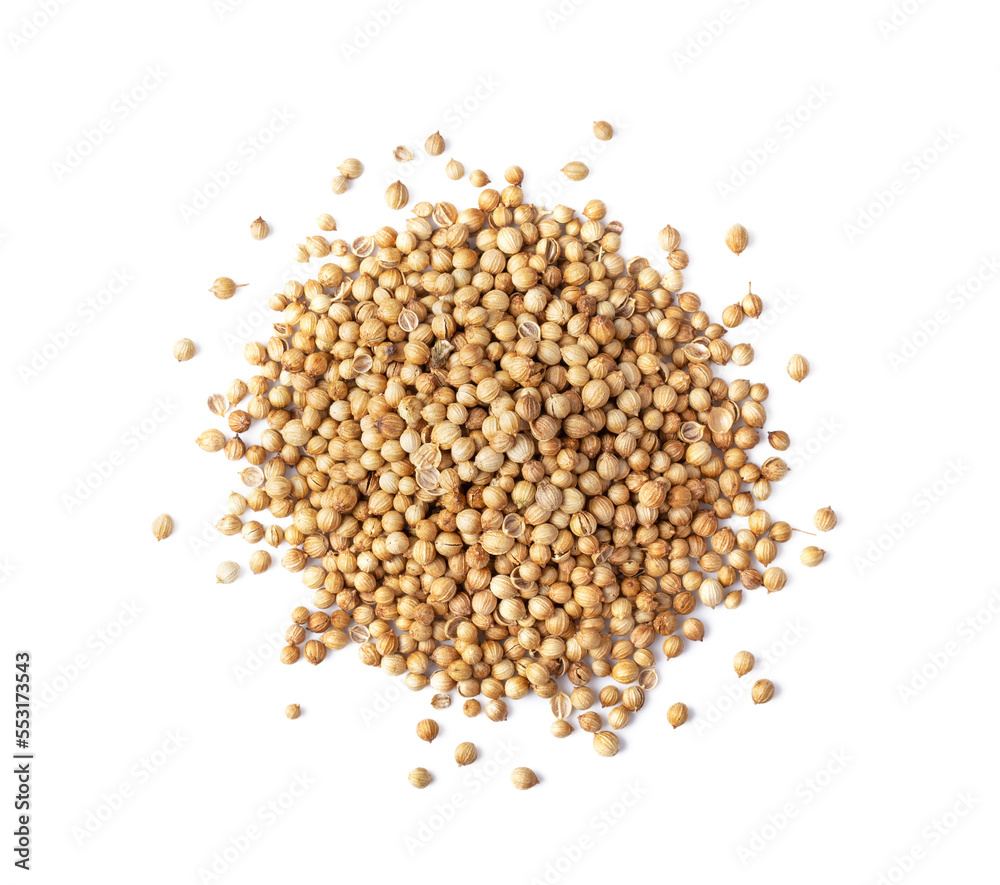 Coriander seeds isolated on transparent png
