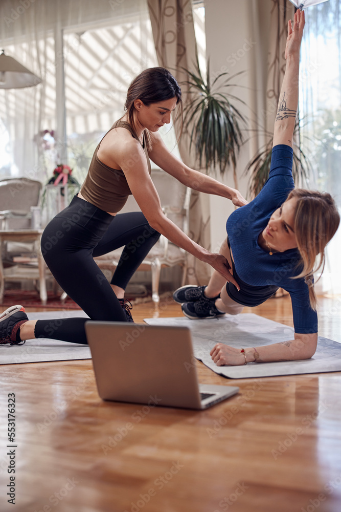 Pretty women working out at home. Adult ladies with beautiful shaped bodies exercising in the apartment. Pretty women working out at home. Adult ladies with beautiful shaped bodies exercising in the apartment.