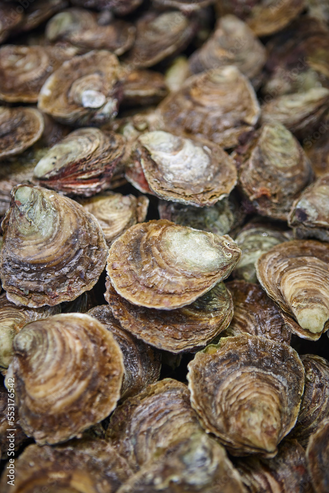 Oysters in Arcachon bay. Market see food in Aquitaine. France Oysters in Arcachon bay. Market see food in Aquitaine. France