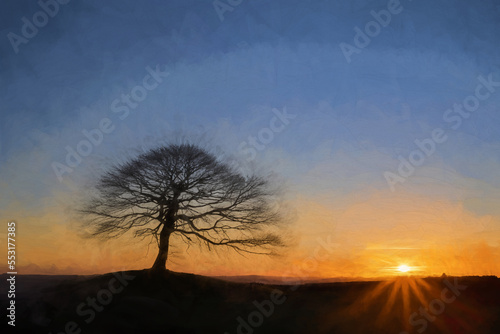 Digital oil painting of a lone tree on Grindon Moor, Staffordshire, UK. photo