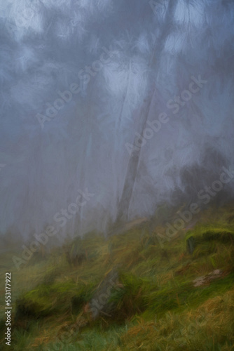 Digital oil painting of woodland winter mist and fog at The Roaches, Staffordshire, Peak District National Park, UK.