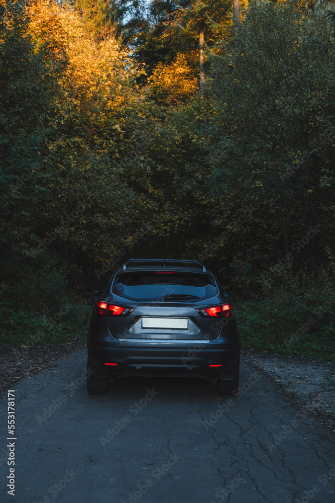 Parked car with headlights on in front of the autumn forest. Back view
