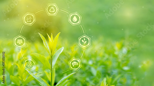 Photos Ecology, sustainable resources, renewable energy concept