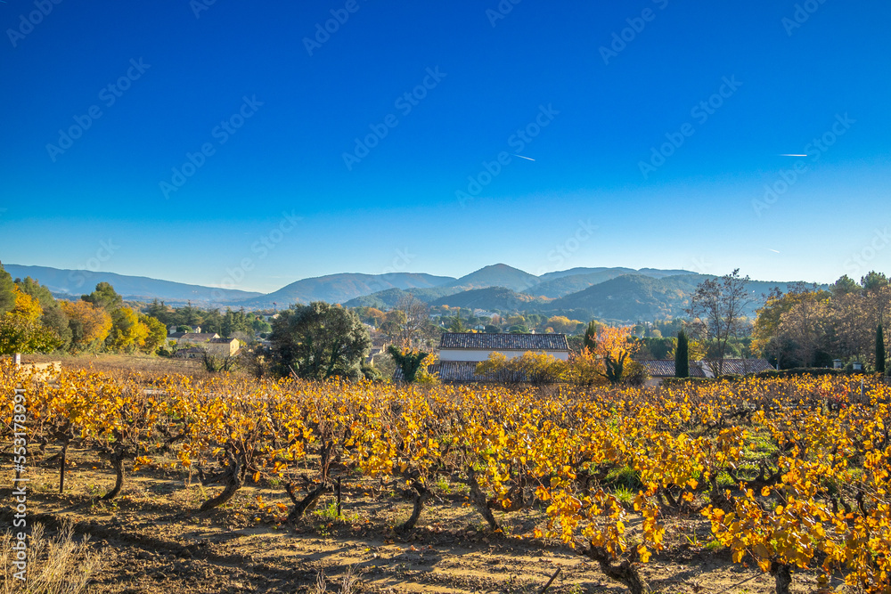 paysage de vignes en automne avec des montagnes en arrière plan