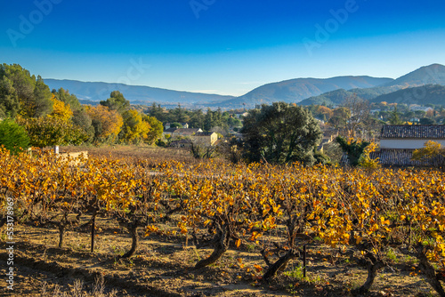 paysage de vignes en automne avec des montagnes en arrière plan