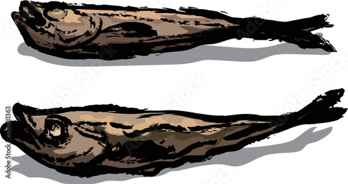 Dried Pollack, Korean traditional dried fish