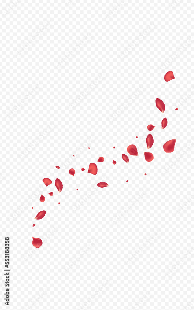 Beautiful Blossom Fly Vector Transparent