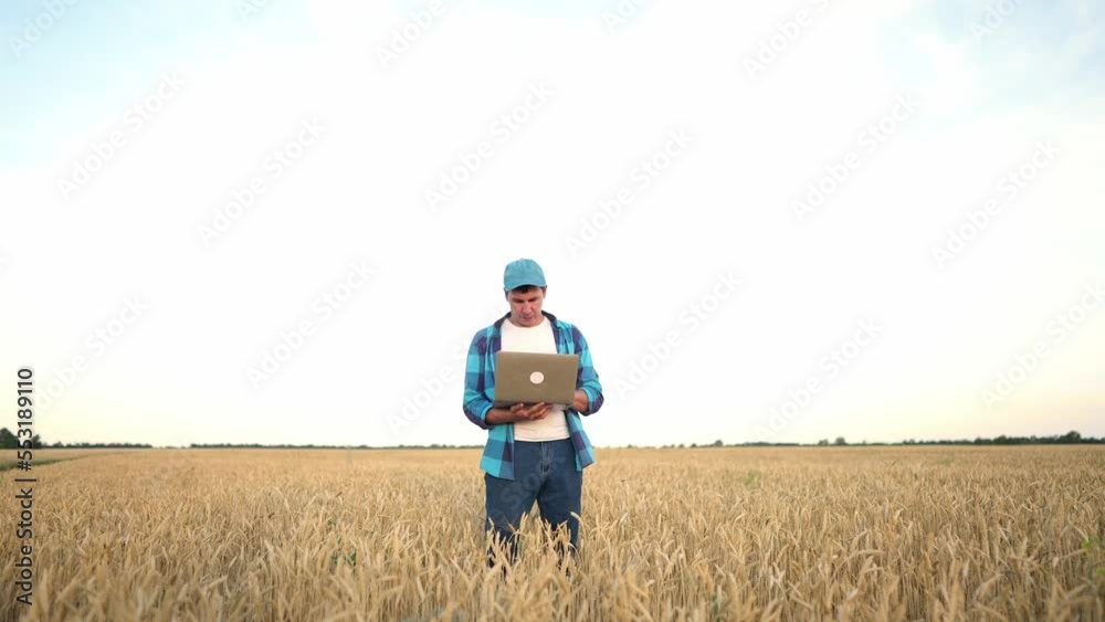 custom made wallpaper toronto digitalman farmer with digital tablet working in field smart farm in a field with wheat. agriculture concept. working in field harvesting crop. senior farmer is engaged in sun farm agriculture